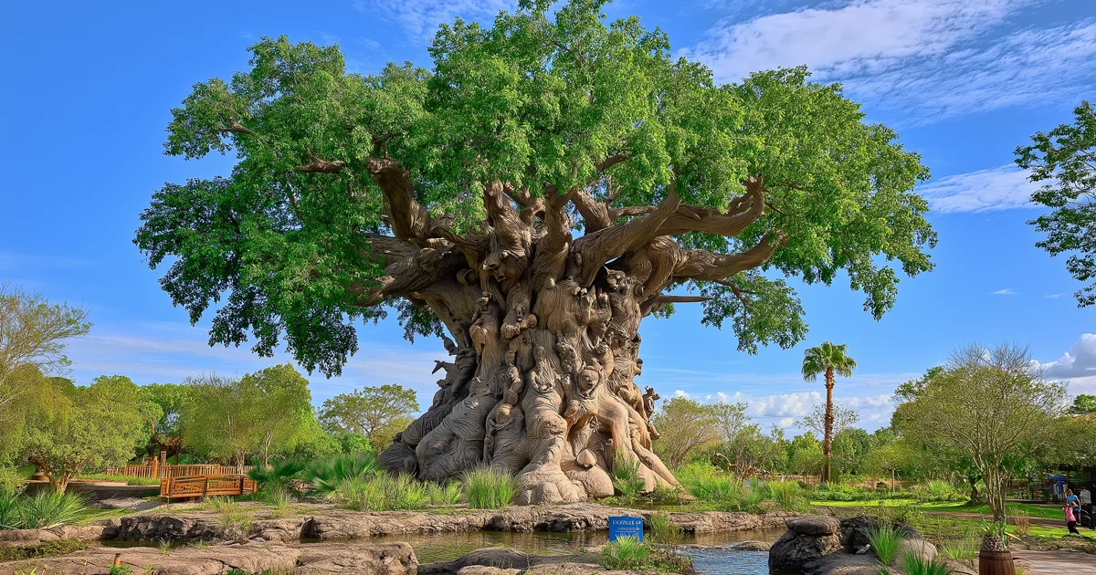 Disney’s Animal Kingdom Theme Park